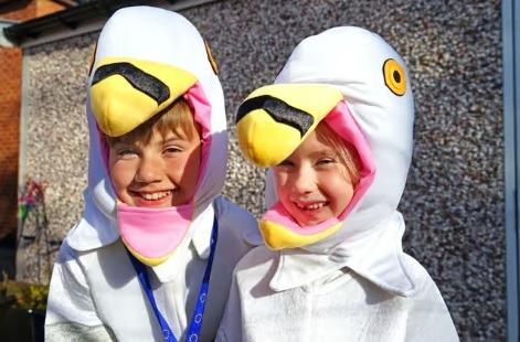 Good luck Seagull Boy and Seagurl! Chesterfield brother and sister ...