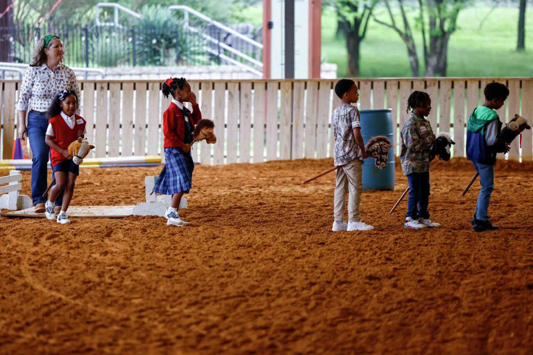 Meet Kali, Ranger and Jolene. These horses are helping Dallas first ...