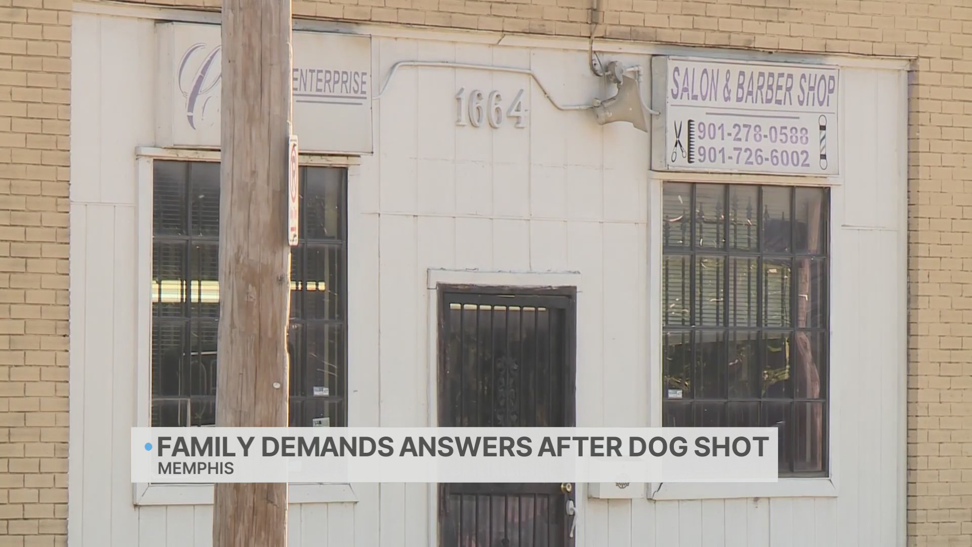 Family devastated after small pug shot to death