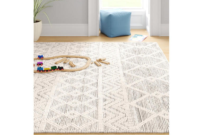 We’re laying out the 19+ best Wayfair Way Day sale rug deals, starting ...