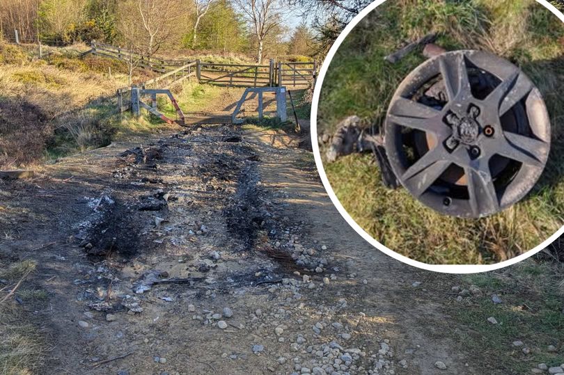 Council clean-up after burnt out car discovery on edge of forest