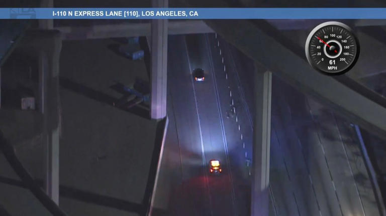 Stolen car suspect leads LA police in dangerous chase