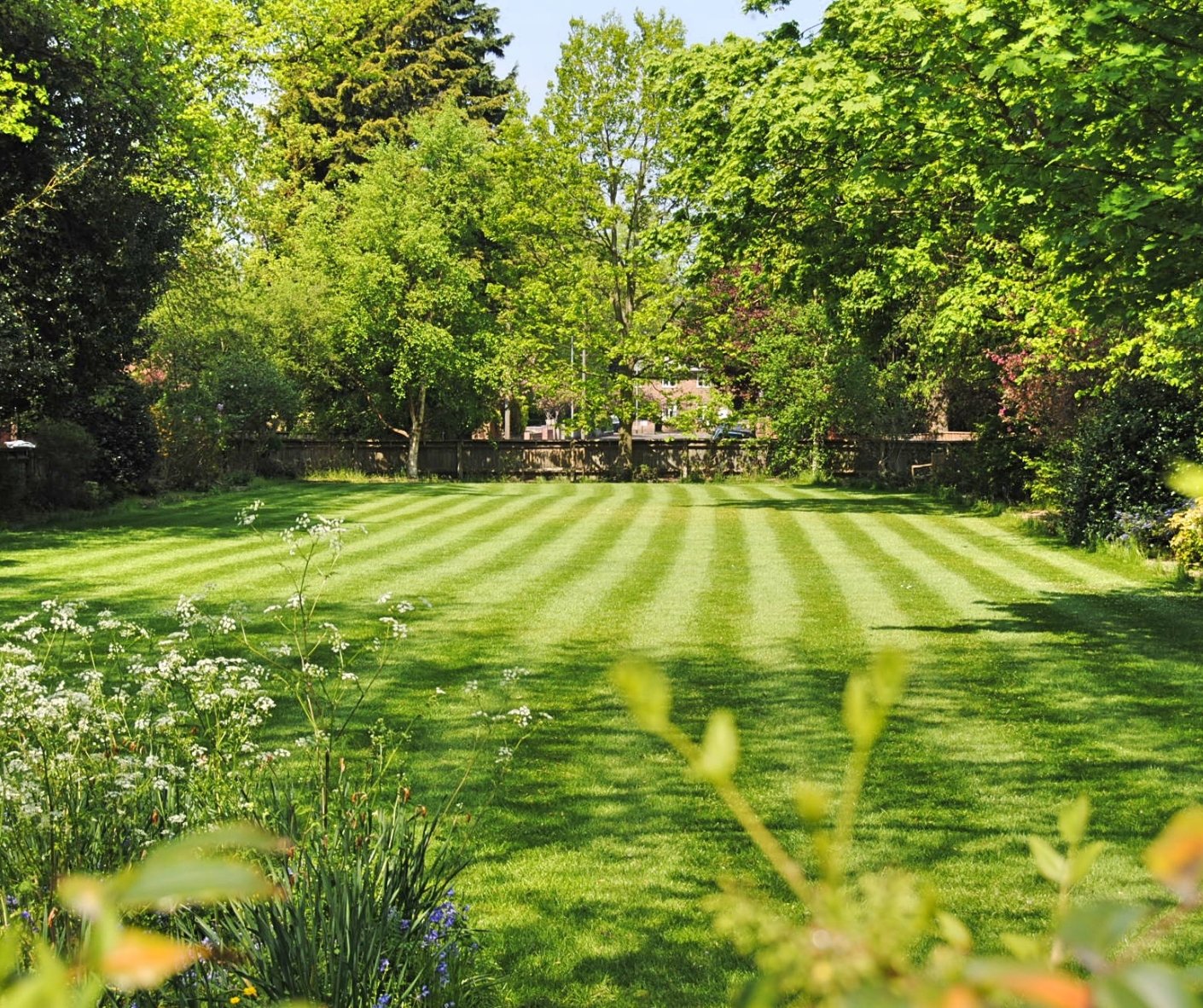 Feeling stressed? How a few minutes in the garden can instantly calm ...