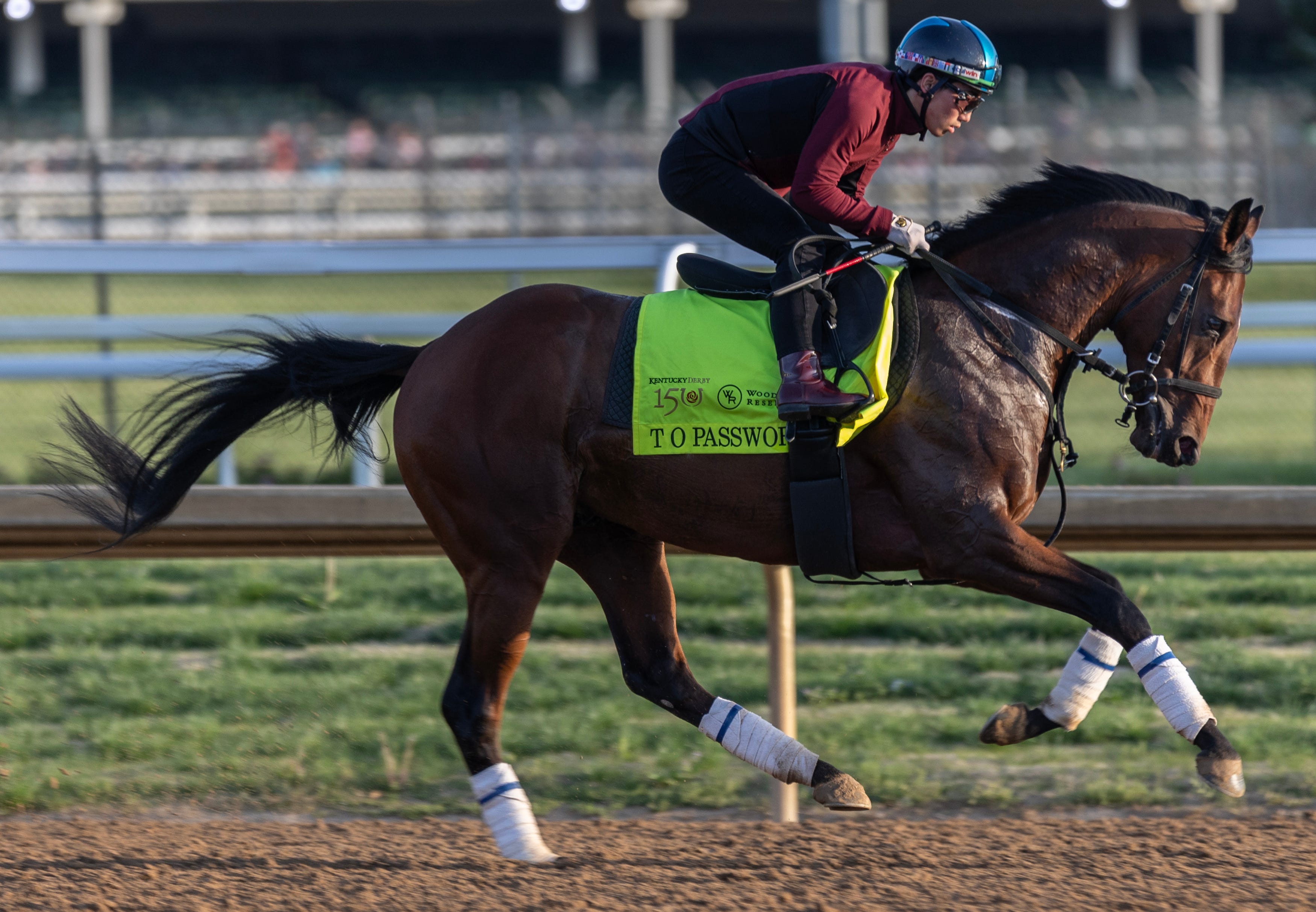 T O Password horse, trainer, jockey for 2026 Breeders' Cup Classic