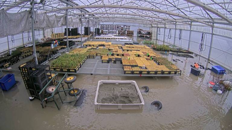 Oxbow Farm to hold native plant sale despite severe flood impact