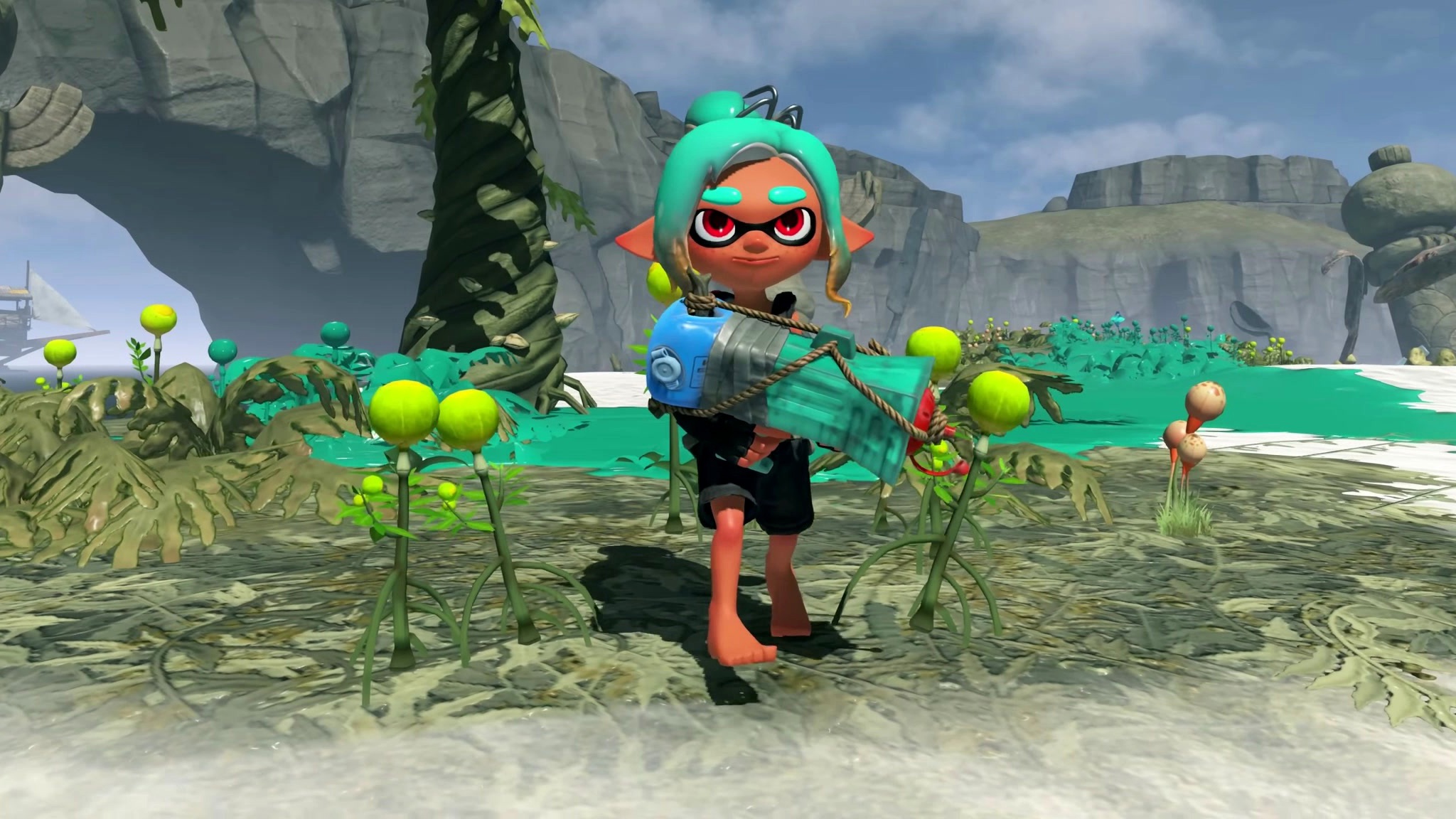 Splatoon raiders