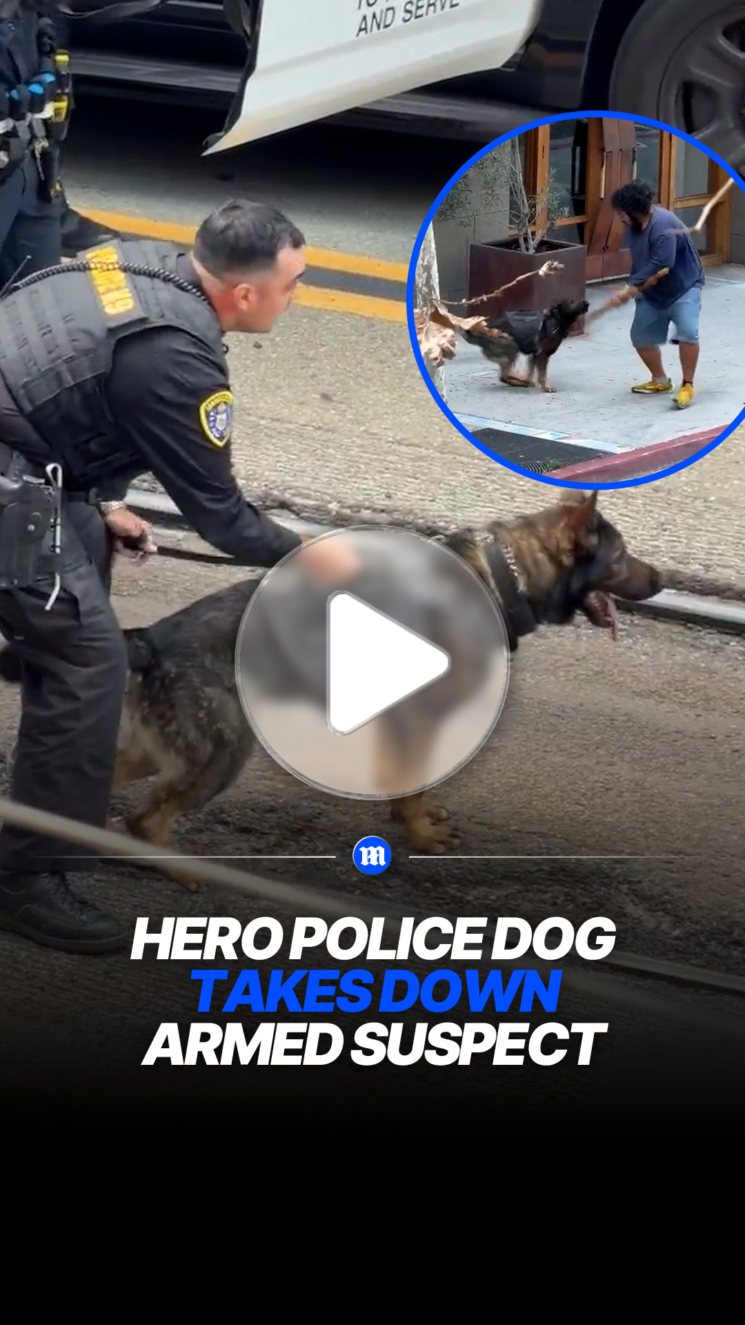 Police K9 subdues suspect after reported attack