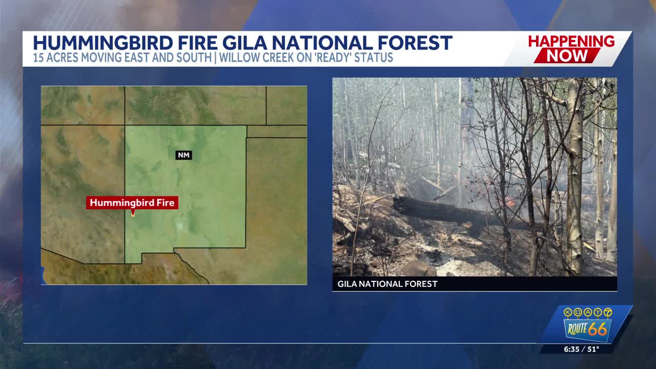 Hummingbird fire in the Gila National Forest
