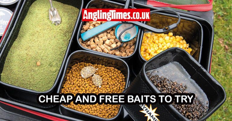 The best cheap and free fishing baits