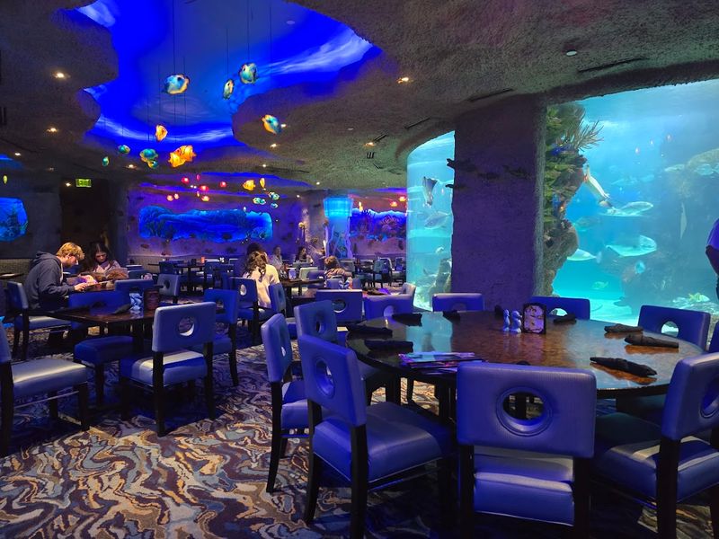 Dinner in Tennessee comes with sharks circling overhead and zero scuba ...