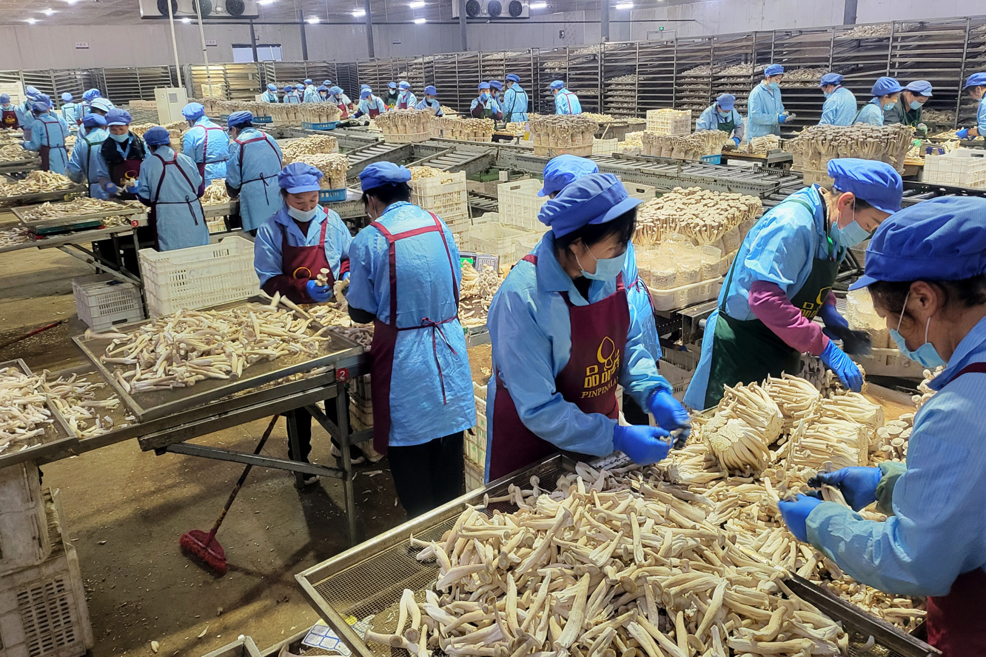 The most food self-sufficient countries in the world