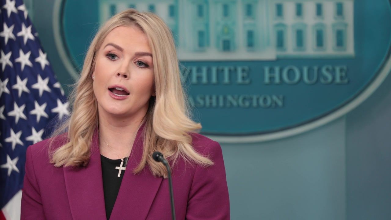 Donald Trump 'reaching breaking point' with Karoline Leavitt