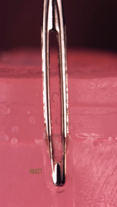 The best new close up videos that reveal hidden details