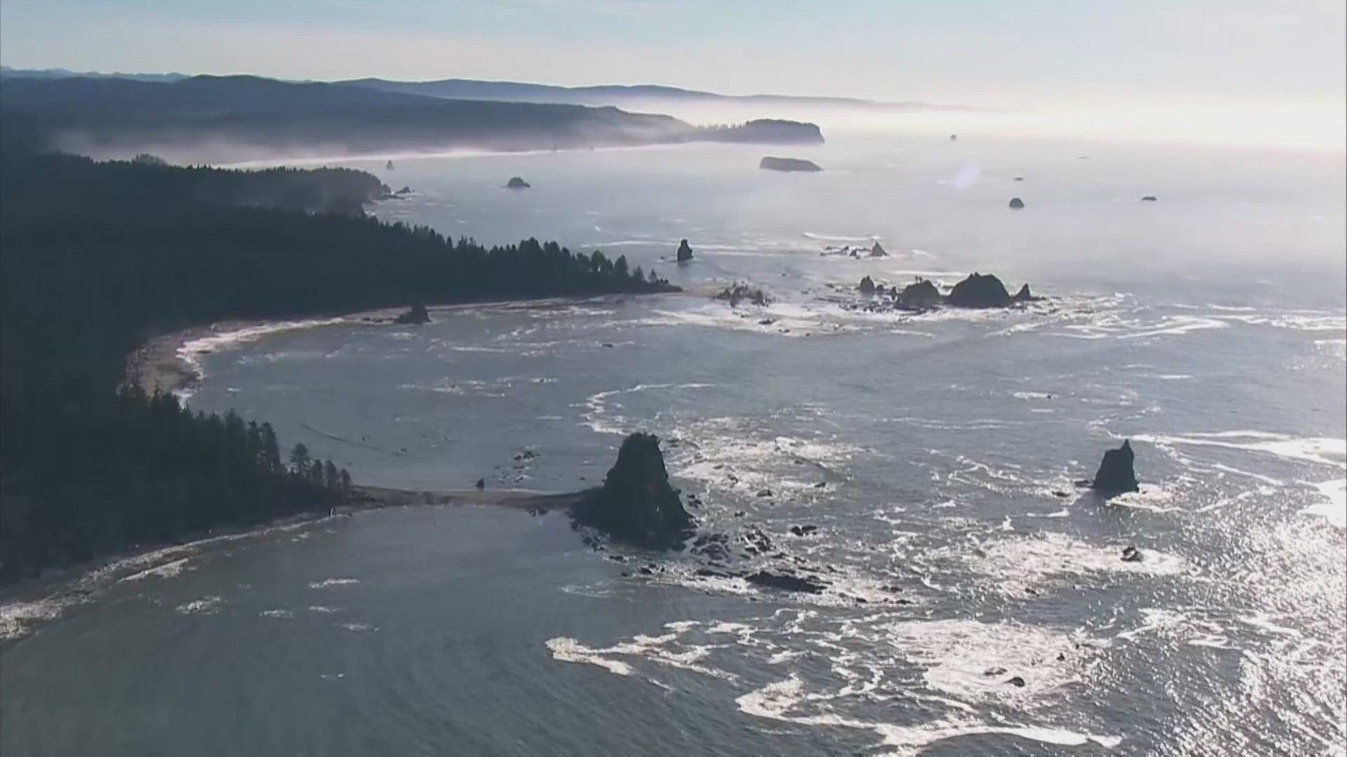 Environment Northwest: Ocean acidification