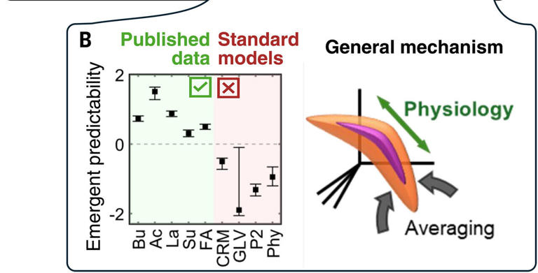 Why more gut and soil microbes could make ecosystems easier to predict