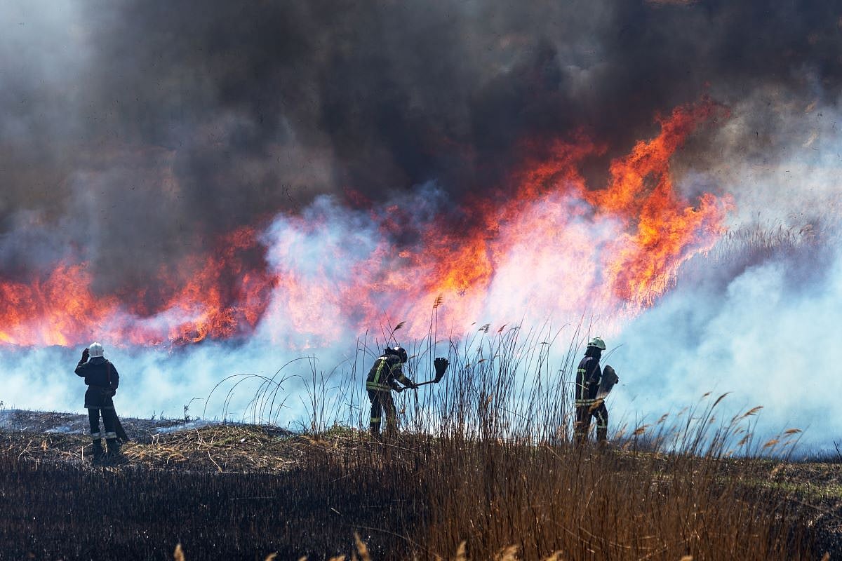 AACR: Wildfire smoke exposure linked to lung, colorectal, breast ...