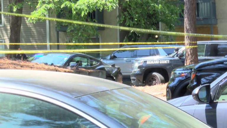 Man killed in Richland County shooting