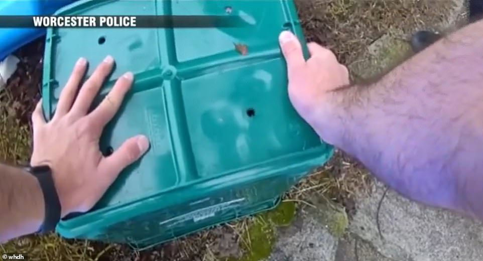 Massachusetts woman attacked by rabid fox