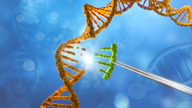 New gene-editing tool allows scientists to cut out cancerous DNA ...