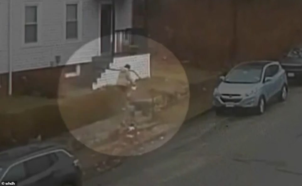 Massachusetts woman attacked by rabid fox