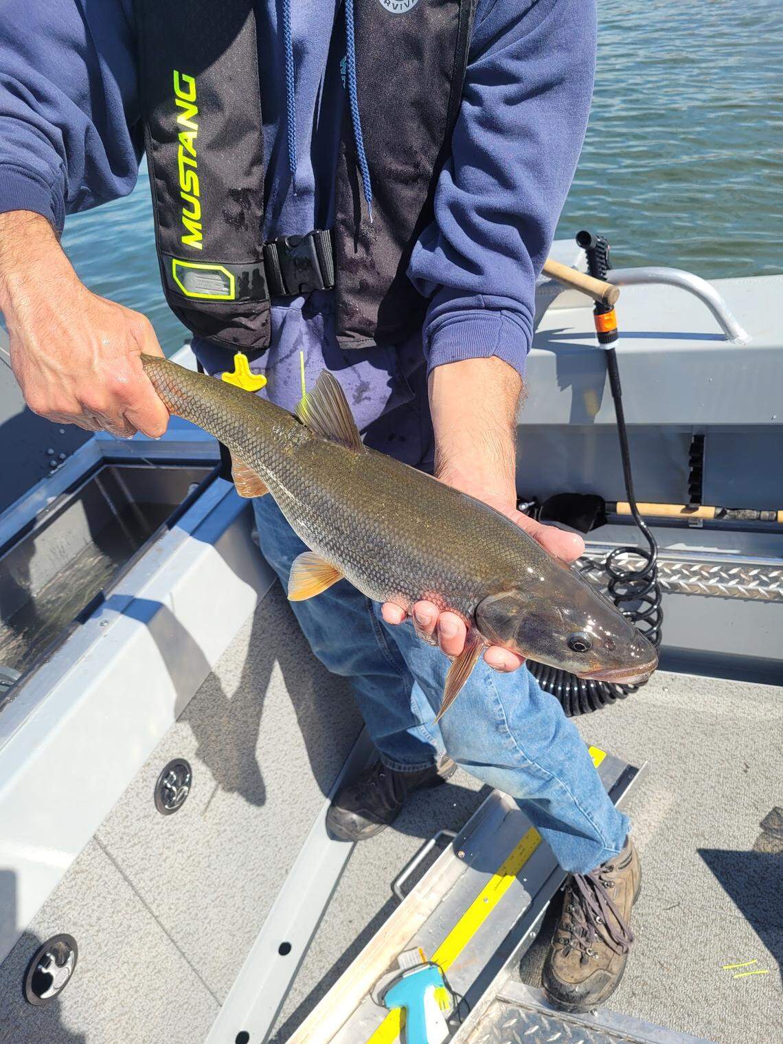 Go fishing, earn money. Top OR and WA angler brought home $159,000