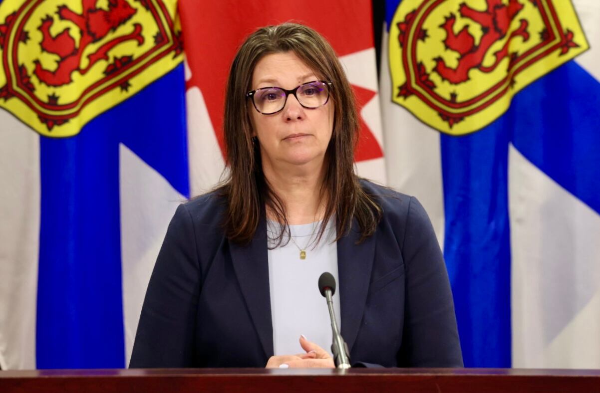 Health minister says work continues to understand waitlists related to ...