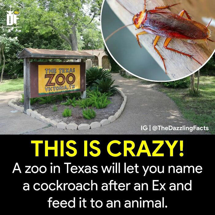 Unbelievable but true: 37 random facts and curiosities about the world