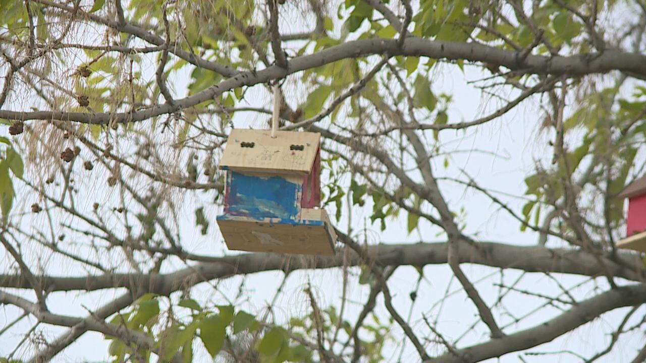 Mathews Elementary School students show off birdhouse project