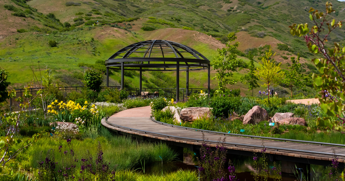 This scenic Utah road trip is packed with spring flowers