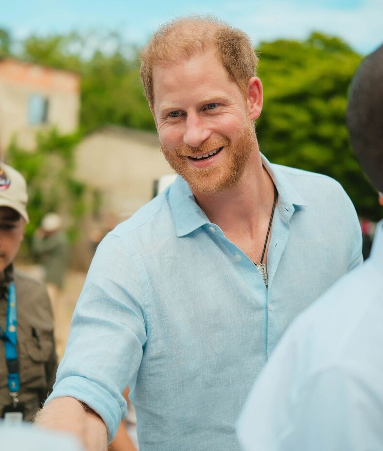 Prince Harry labeled 'clown' over Putin comments