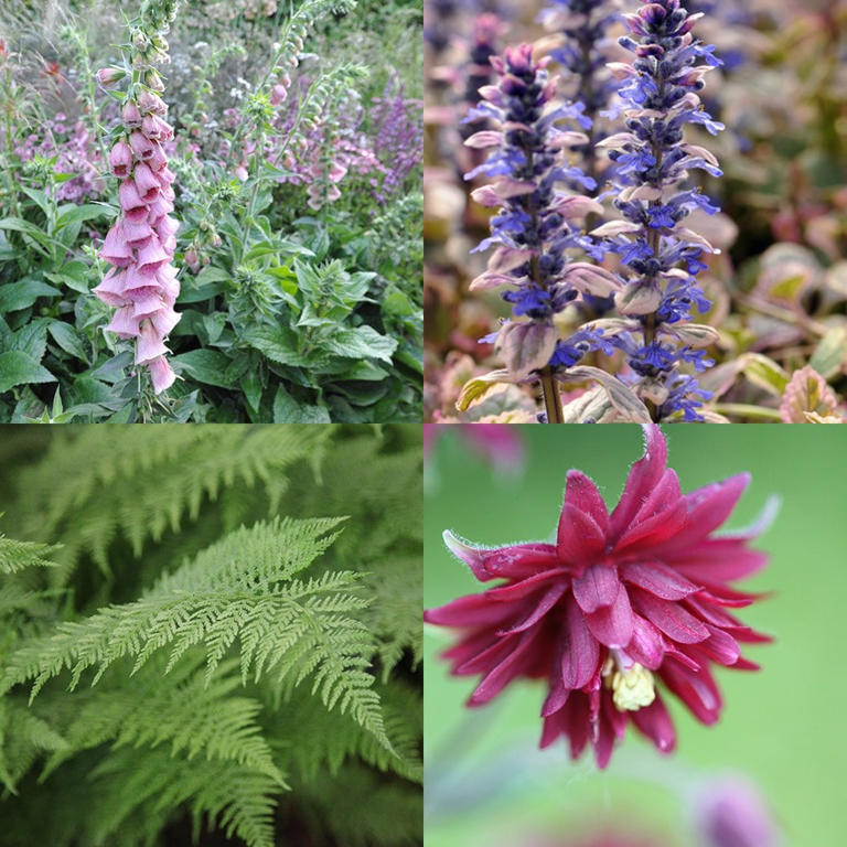 I’m a gardening editor and I’m waving goodbye to my lawn – here’s why ...