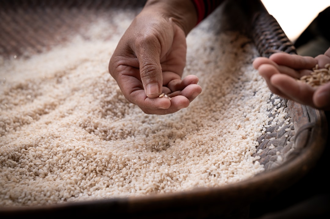 Simple techniques for making better-tasting brown rice