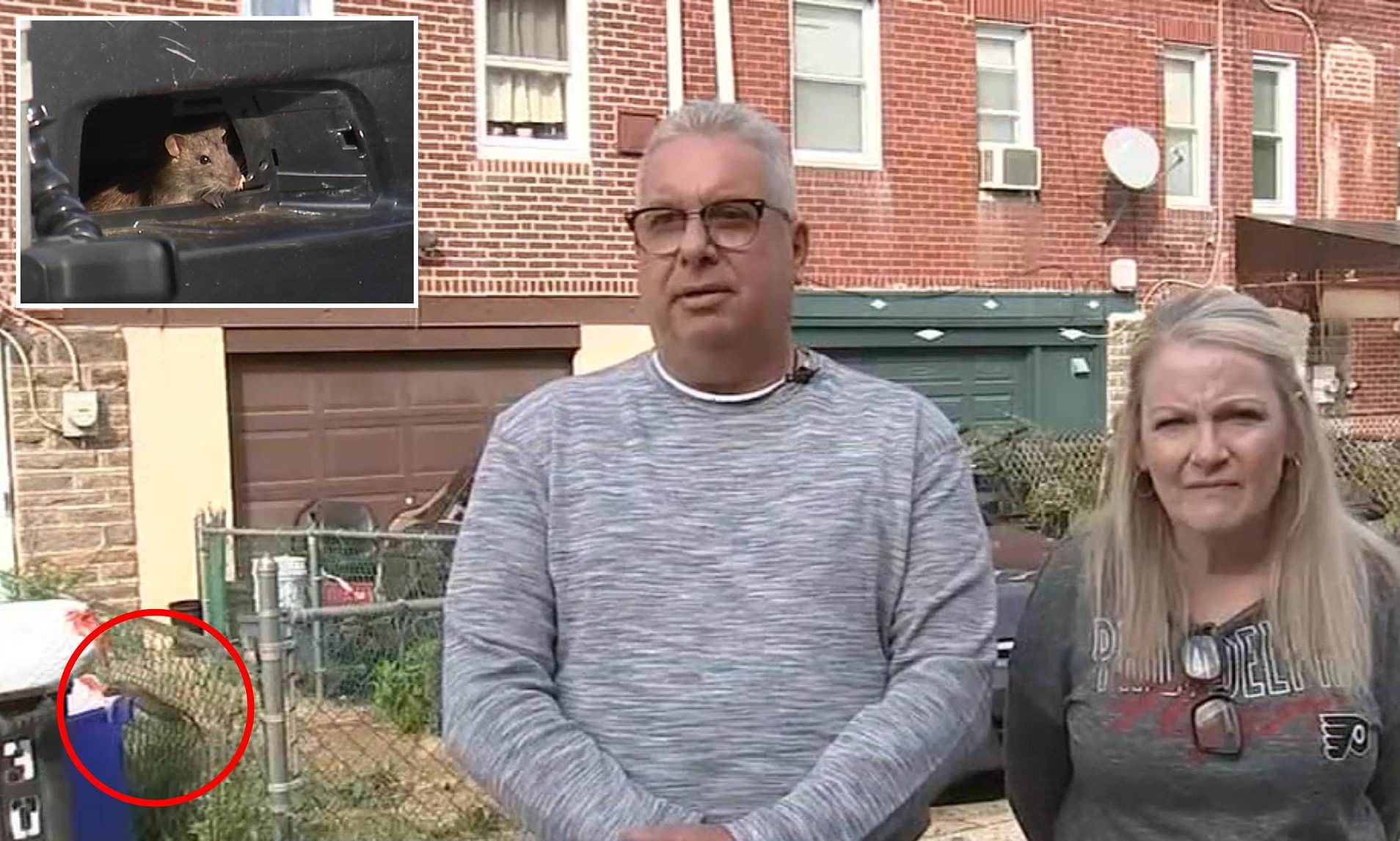 Giant rats the size of cats take over Philadelphia neighborhood as ...
