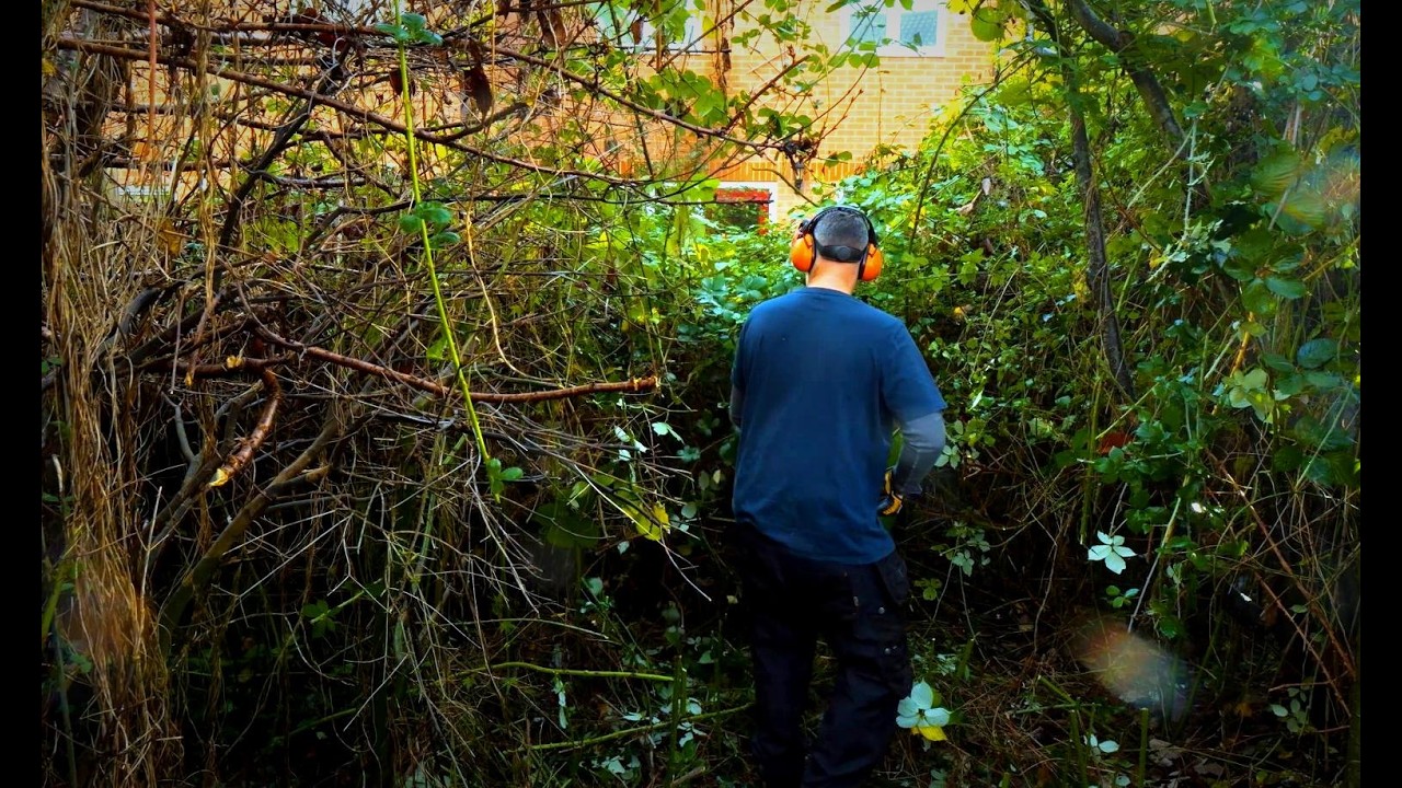 This garden was a jungle... until now