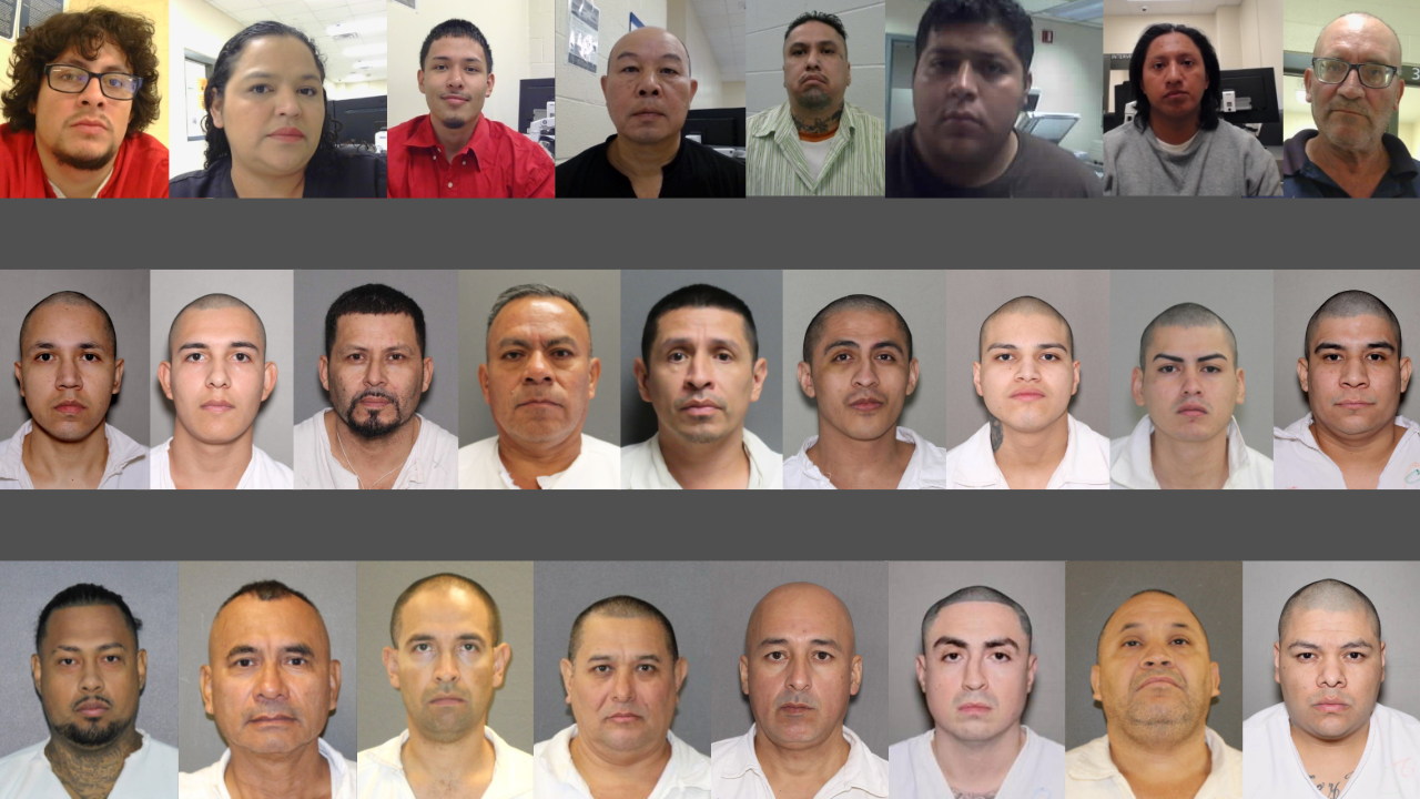 ICE Houston arrests 277 noncitizens with criminal records in Southeast ...