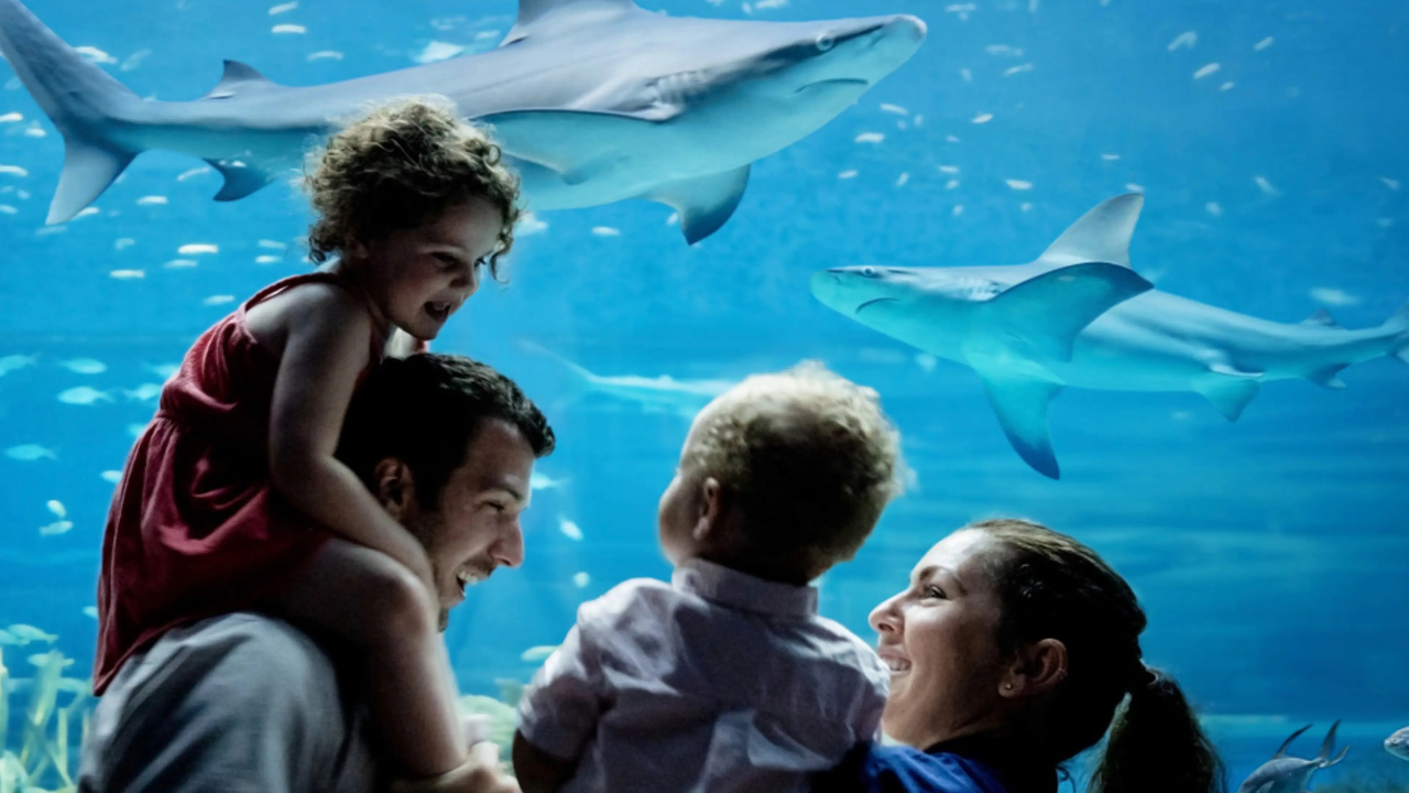 Corpus Christi travel guide: Top family-friendly activities worth exploring