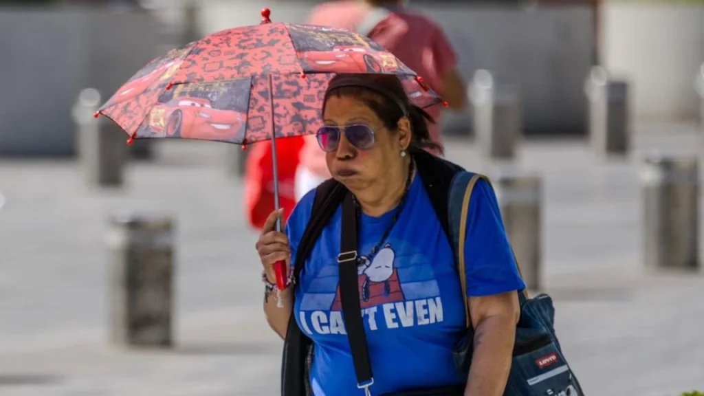 ONU alerta de un 80% de probabilidad de un episodio de El Niño este ...