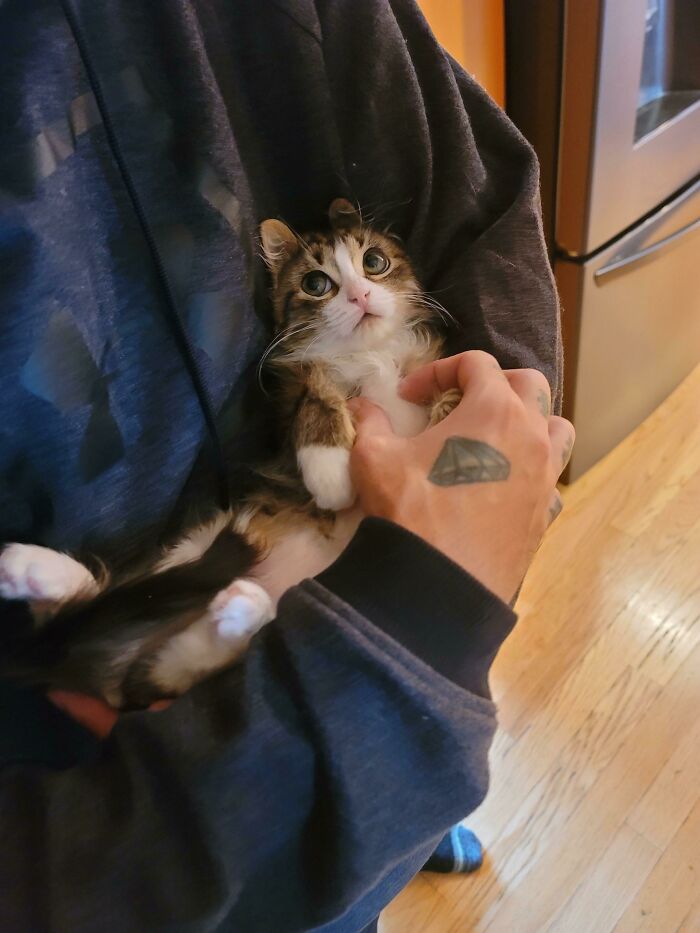 50 Soul-Healing Pics To Celebrate Rescue Pets And Their Heroes