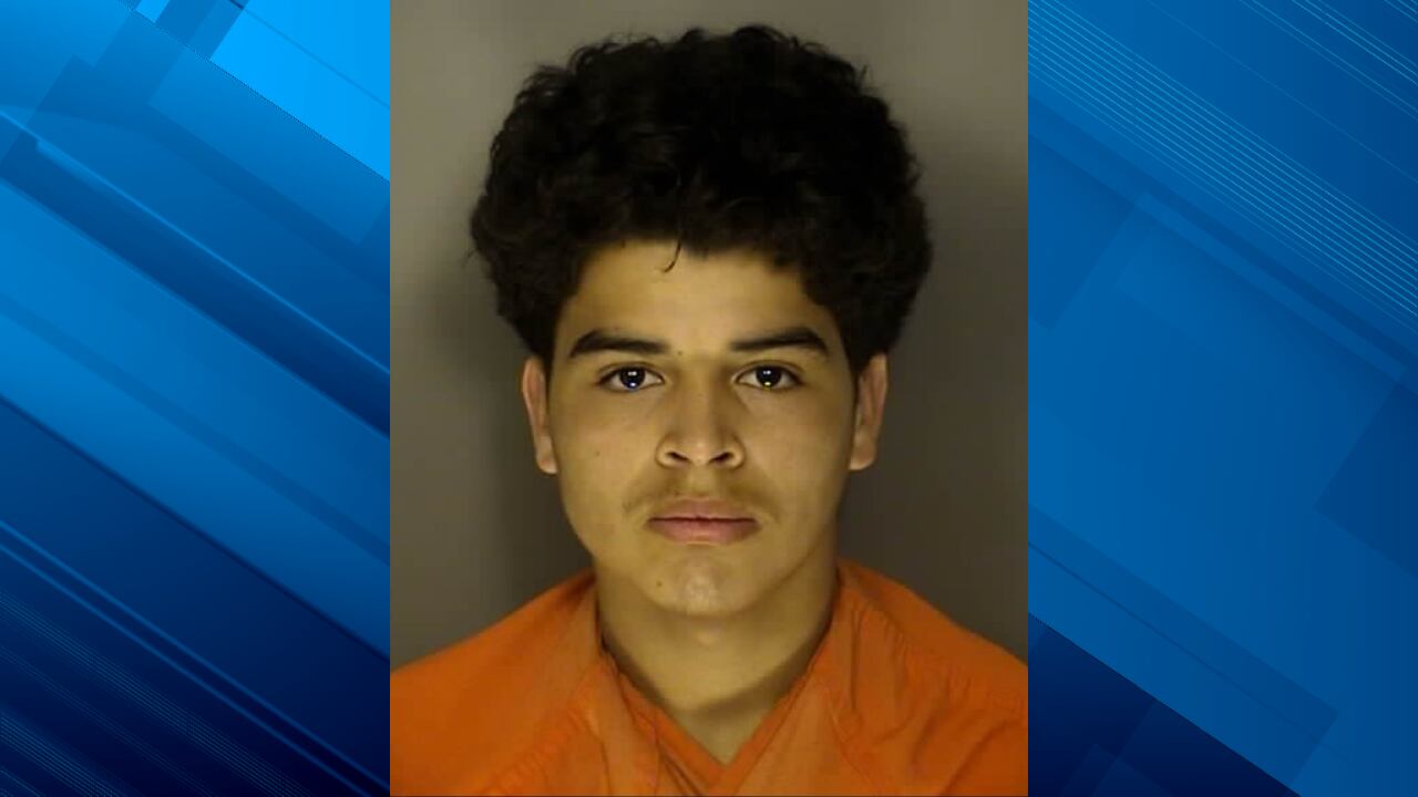 Horry County teen charged with child sex crime