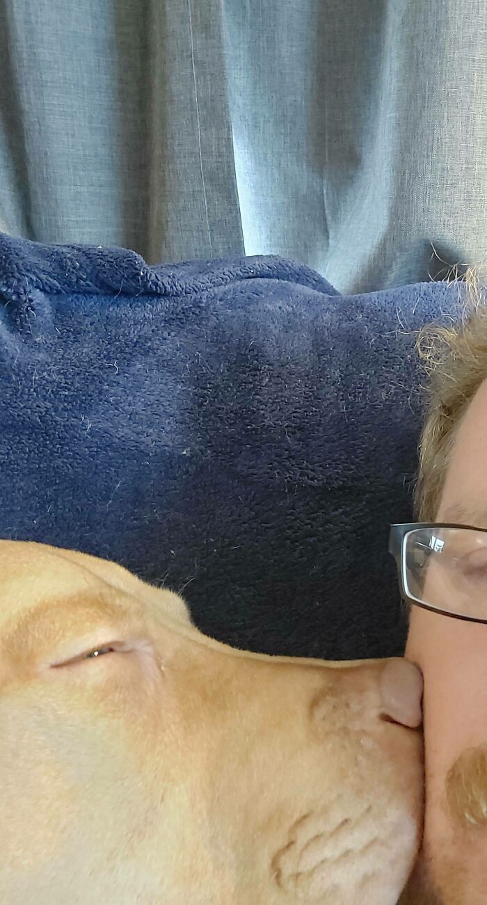50 Soul-Healing Pics To Celebrate Rescue Pets And Their Heroes