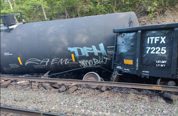 Soybean oil leaks after train derails near Bluestone River