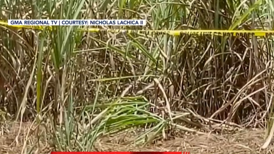 Girl, 13, found dead in sugarcane field in Negros Occidental