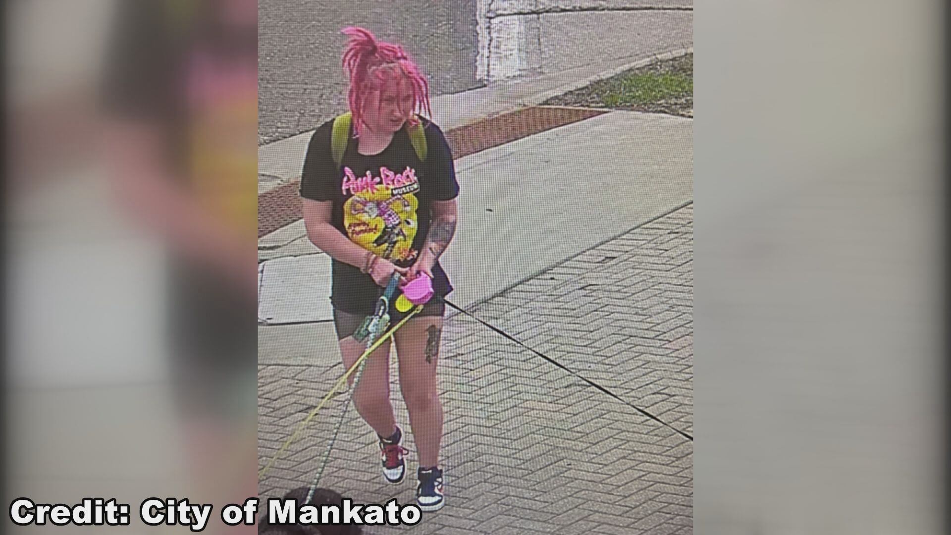 Update: Missing Mankato woman and dogs found safe