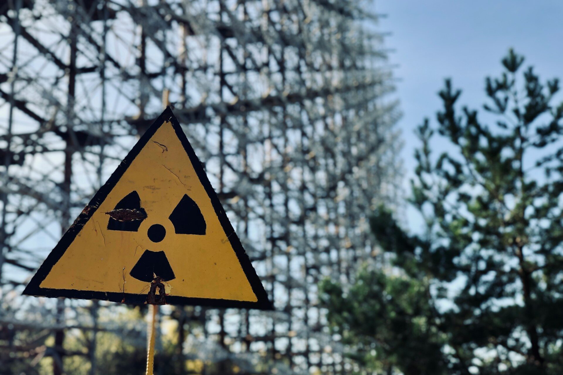 Chernobyl surprises: Flora and fauna flourish in the exclusion zone