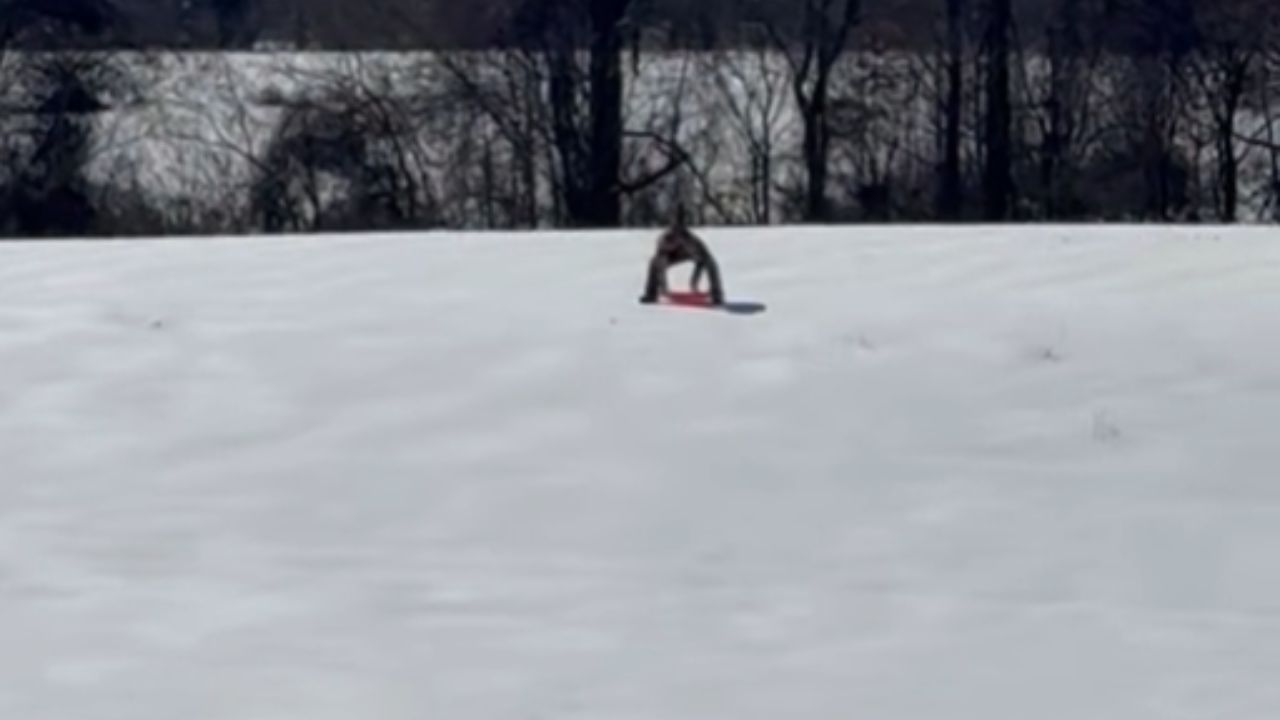 Woman takes a hard sledding fall while her child shows instant care