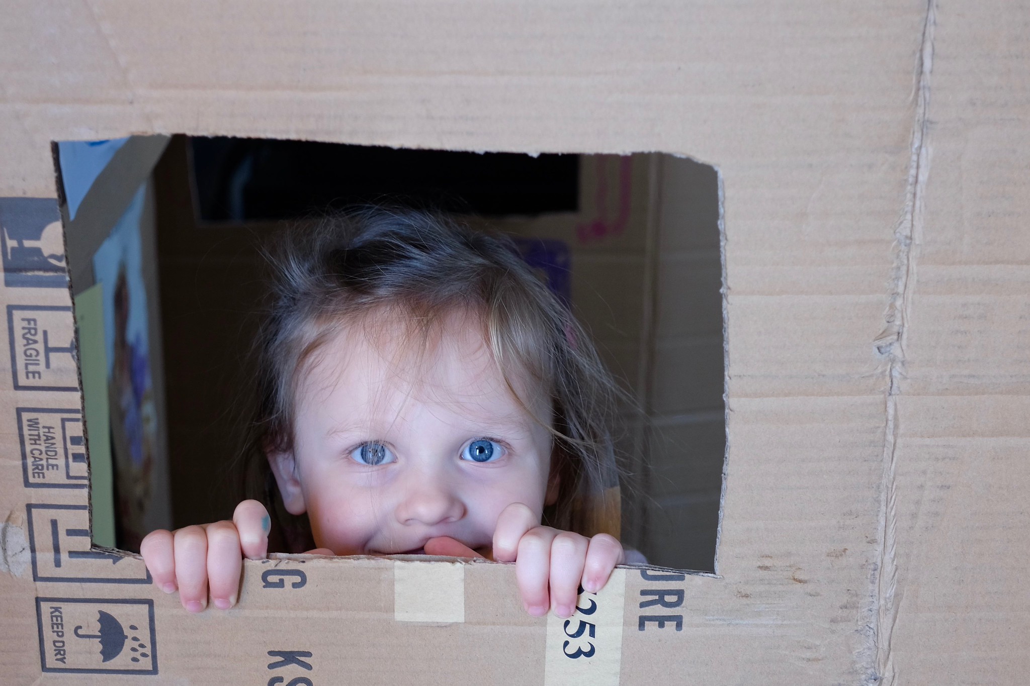 Travel backs to afford trips during high inflation