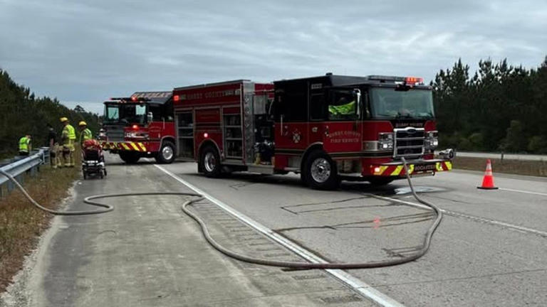 1 injured after veering off road into trees in Hwy 31 wreck, HCFR says