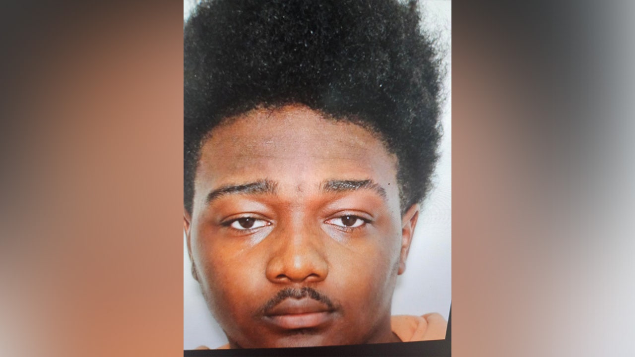 Suspect arrested in deadly Albany shooting spree