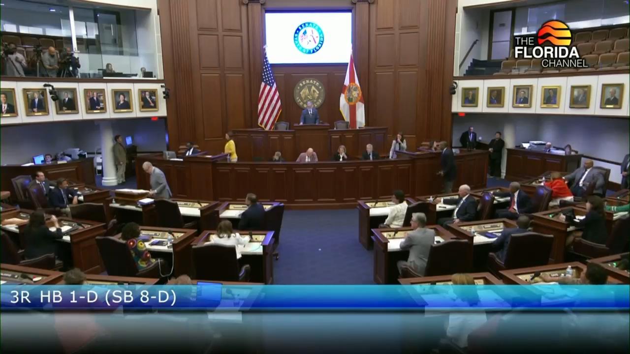 Florida Senate passes new redistricting bill intended to boost ...