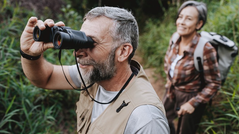 The best birdwatching destinations the US has to offer, according to Reddit